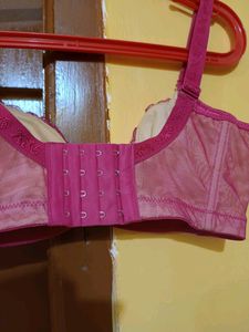 34 Size Bra New
