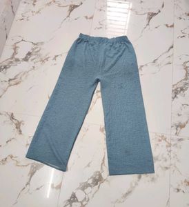 sea green Palazzo Pants