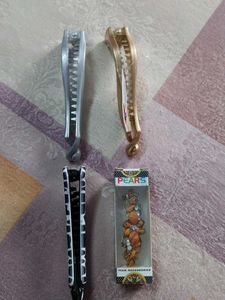 Set of 4 Hair Clips
