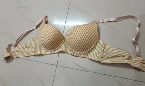 New Striped Padded Bra - Comfortable &amp; Stylish