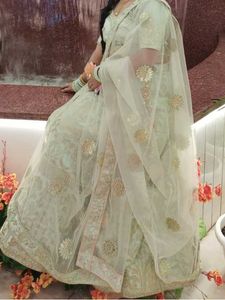 Mint Green Embroidered Lehenga