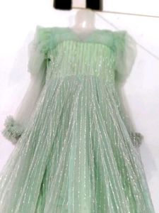 Elegant Green Ethnic Gown
