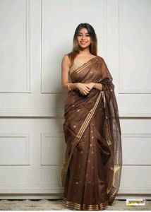 Elegant Brown Saree with Gold Border