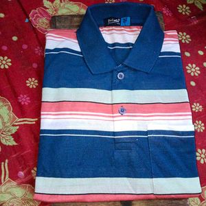Striped Polo Shirt