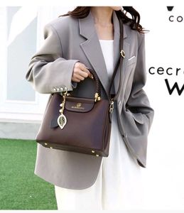 Stylish Brown Handbag