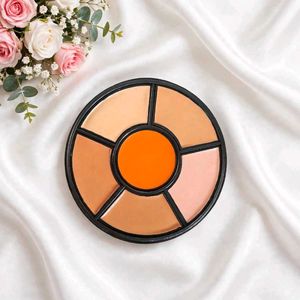 Insight Pro Concealer Palette