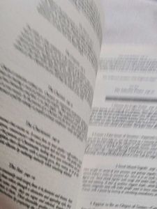 Art of Seduction Book long boo