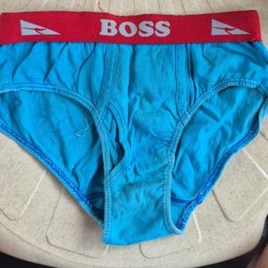 BOSS Blue Briefs
