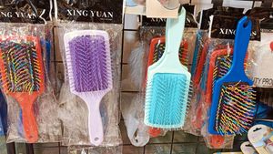 Multicolour Hair Brushes Big &amp; Small