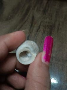 Antique Shells