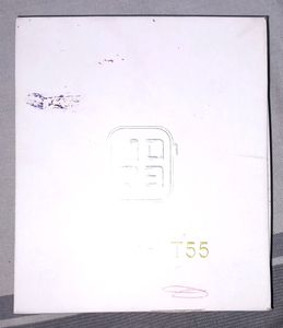 T-55 Smart Watch