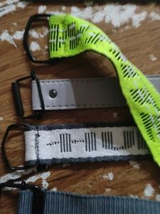 Fashion Belt Collection