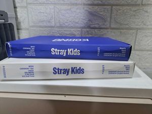 STRAYKIDS- KARMA HORRAY VER.