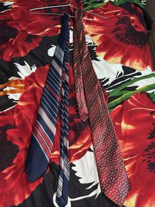 Set of 2 Men's Ties
