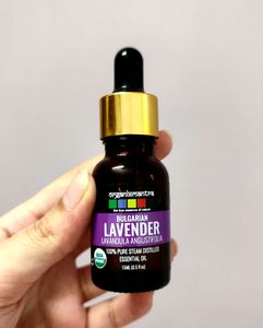 Lavender Essential Oil