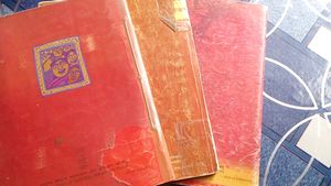 Class 10 History Geography Economics Book