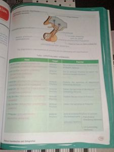 Zoology Med Easy 2.0 Book
