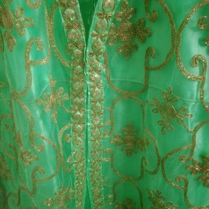 Mint Green & Gold Embroidered Dress