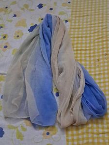 Gradient Ombre Dupatta Scarf