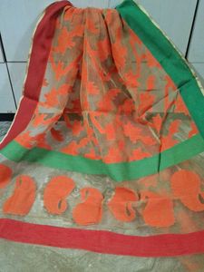 Vibrant Paisley Pattern Dupatta