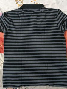Striped Lacoste Polo Shirt