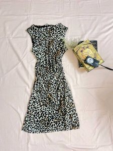 Chic Leopard Print Ruched Dress