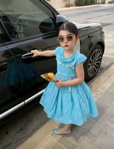 Adorable Blue Dress for Girls