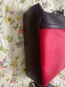 Baggit Hand Bag