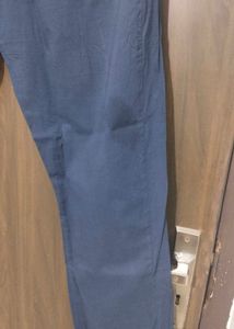 New Unused PureCottonPremium SeaShell StraightSuit
