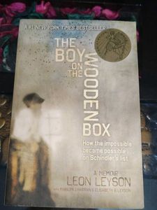 The Boy on  Wooden Box