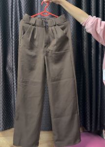 Stylish Brown Pleated Pants