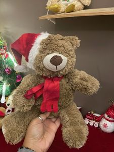 Festive Teddy Bear with Santa Hat
