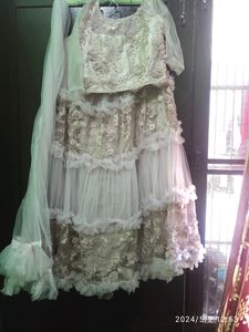 Princess Beautiful Gown Type Lehngaa