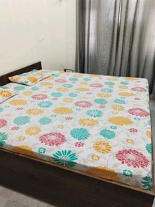 Multi Color Printed Double Bed Cotton Bedsheet