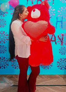 Red Teddy Bear. TODAY OFFER ONLY IN 750rs
