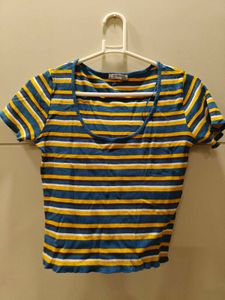 Zara new crop top