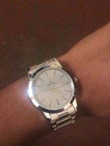Elegant Walrus Men's Watch