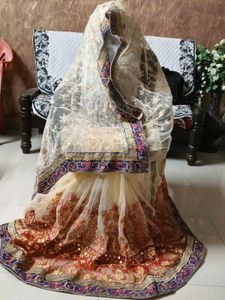Embroidered mirror work Saree