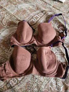 Zivame Padded Wired T Shirt Bras