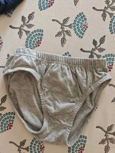 Cute Dinosaur Boys' Briefs - 2 Pack