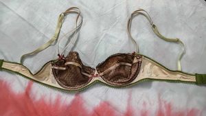 Lace Trimmed Underwire Bra