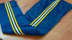 Striped Navy Blue Track Pants