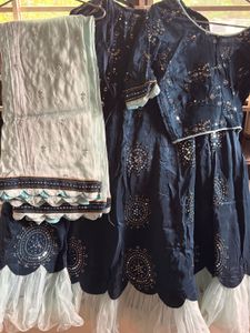 Stunning Navy Blue Lehenga Choli