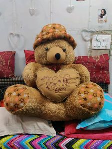 Giant Size Teddy Bear