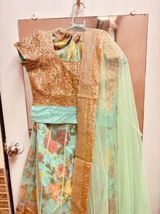 Pastel green lehenga with golden sequin blouse