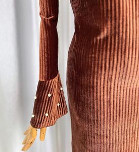 Korean Autumn Velvet Dress