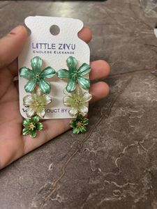 Set of six Earrings and studs