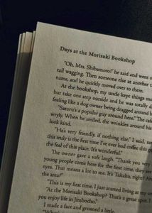 Days at the Morisaki Bookshop