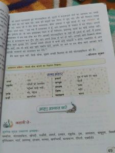 NCERT Nai Rangoli Hindi Pathmala Class 7 Book