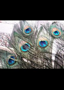 Elegant Peacock Feather Decor(8)